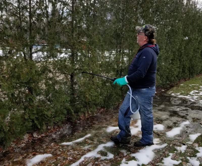 Turftenders tree treatment