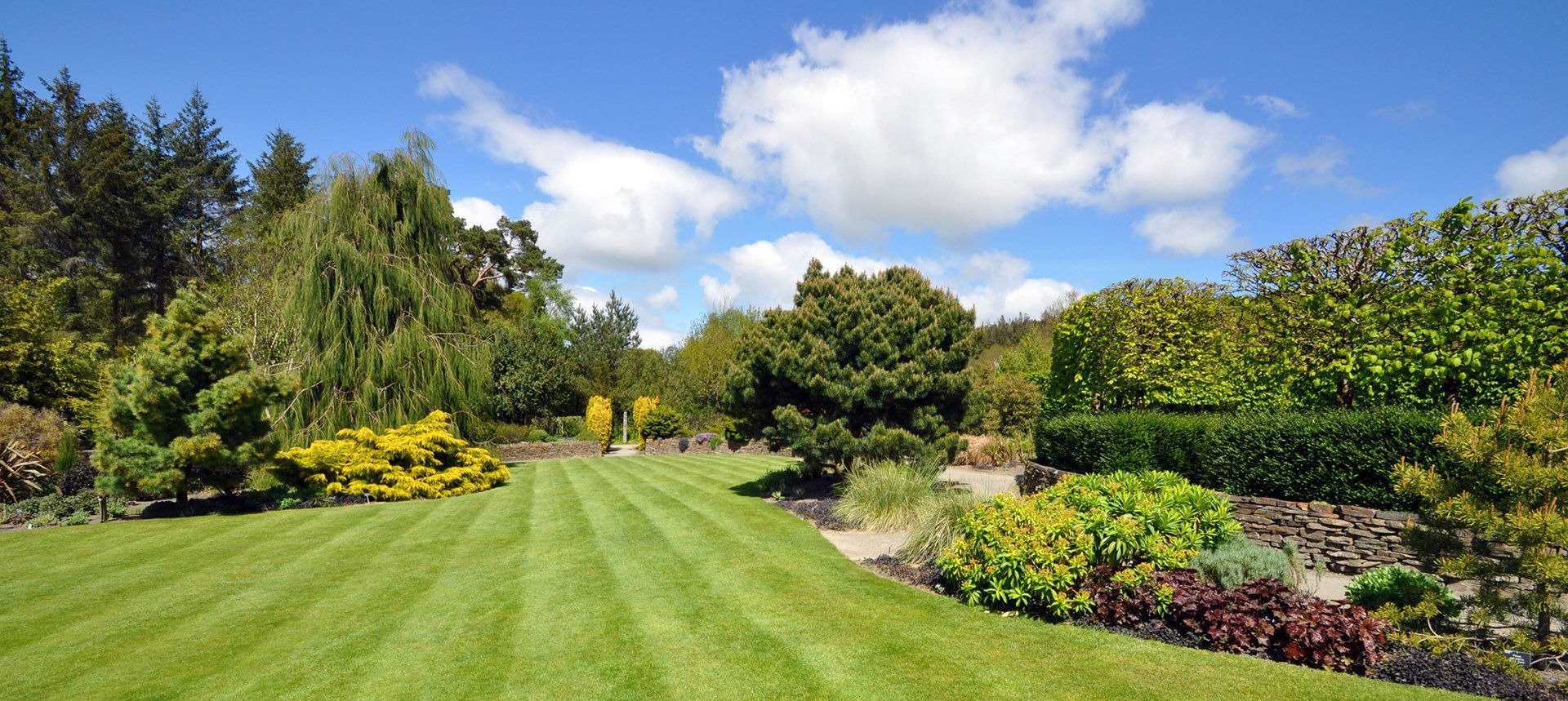 Turftenders Lawn background