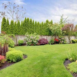 Turftenders lime treatment